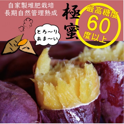 感動さつまいも(熟成紅はるか)【冷凍焼芋】500g×5パック
