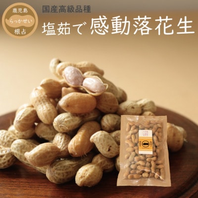 【先行受付】9月下旬より順次発送　国産高級品種(千葉半立)【塩茹で感動落花生】300g×1パック