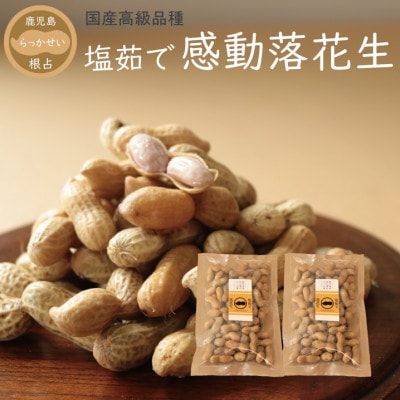 【先行受付】9月下旬より順次発送　国産高級品種(千葉半立)【塩茹で感動落花生】300g×2パック