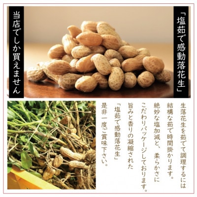 【先行受付】9月下旬より順次発送　国産高級品種(千葉半立)【塩茹で感動落花生】300g×5パック