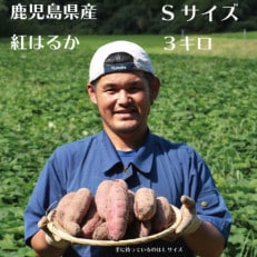 【先行受付】さつまいもファン必見!鹿児島産『紅はるか』をいち早くお届け Sサイズ3キロ