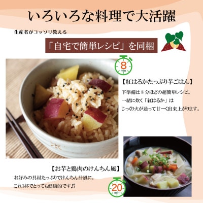 【先行予約】さつまいもファン必見!鹿児島産『紅はるか』をいち早くお届け Lサイズ5キロ