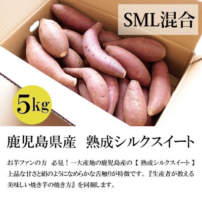 2ヶ月以上熟成シルクスイートSML混合サイズ5キロ≪農家直伝の焼き芋レシピ付き≫