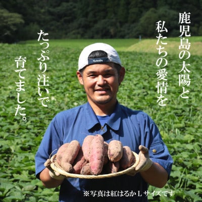 2ヶ月以上熟成シルスイートSML混合サイズ3キロ≪農家直伝の焼き芋レシピ付き≫