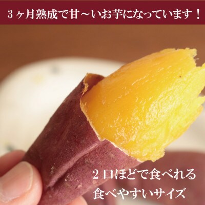 3ヶ月以上熟成紅はるか『感動さつまいも』SSサイズ500g袋×5袋≪焼き芋レシピ付き≫