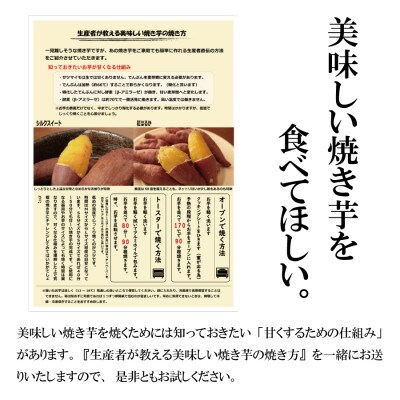 3ヶ月以上熟成紅はるか『感動さつまいも』SSサイズ500g袋×9袋≪焼き芋レシピ付き≫