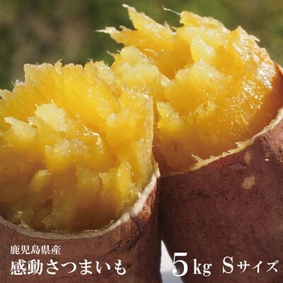 熟成紅はるか『感動さつまいも』Sサイズ5キロ　鹿児島県産