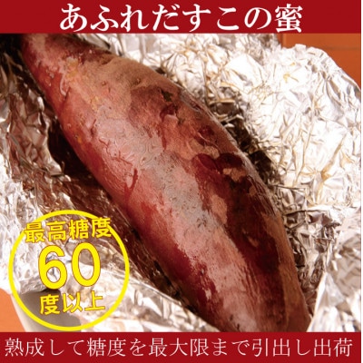 熟成紅はるか『感動さつまいも』Sサイズ5キロ　鹿児島県産