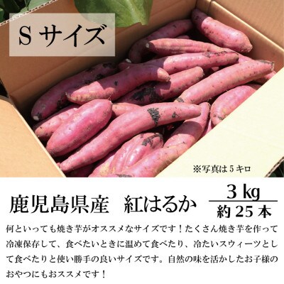 熟成紅はるか『感動さつまいも』Sサイズ3キロ　鹿児島県産