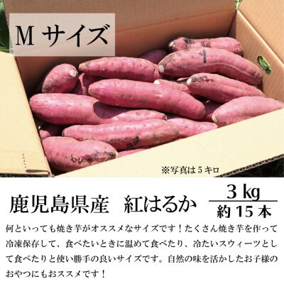 熟成紅はるか『感動さつまいも』Mサイズ3キロ　鹿児島県産