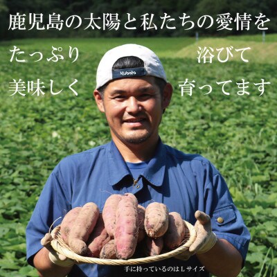 熟成紅はるか『感動さつまいも』Mサイズ5キロ　鹿児島県産