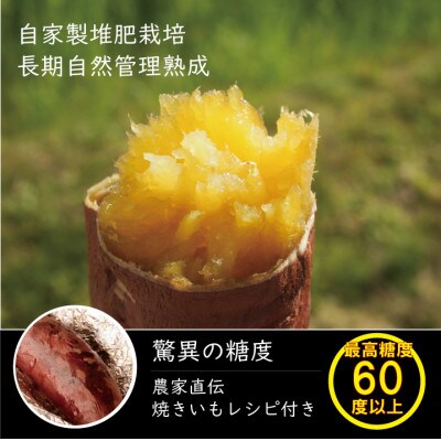 熟成紅はるか『感動さつまいも』Mサイズ5キロ　鹿児島県産