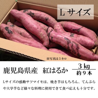 熟成紅はるか『感動さつまいも』Lサイズ3キロ　鹿児島県産