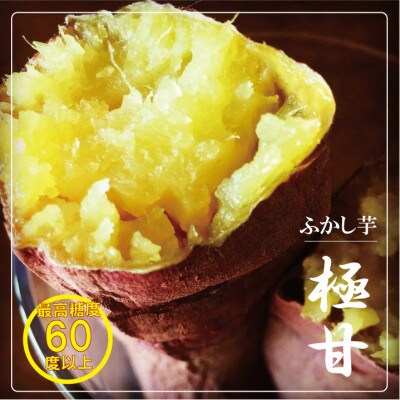 熟成紅はるか『感動さつまいも』Lサイズ5キロ　鹿児島県産