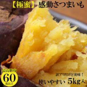 【先行受付】【2023年11月より順次発送】訳あり5キロ熟成紅はるか『感動さつまいも』