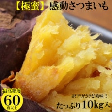 【先行受付】【2023年11月より順次発送】訳あり10キロ熟成紅はるか『感動さつまいも』