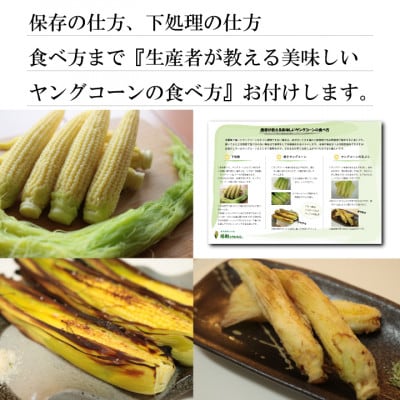 【朝獲り当日出荷】ヒゲまで美味しい 皮つきヤングコーン30本