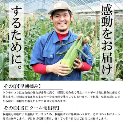 【先行受付】【2025年5月下旬より順次発送】ゴールドラッシュ『感動とうもろこし』約4キロ