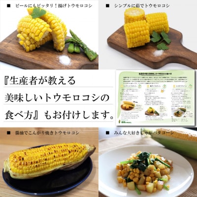 【先行受付】【2025年5月下旬より順次発送】ゴールドラッシュ『感動とうもろこし』約4キロ