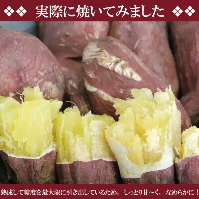 2ヶ月以上熟成シルクスイート訳アリ5キロ(農家直伝の焼き芋レシピ付き)生産者が普段食べているお芋です