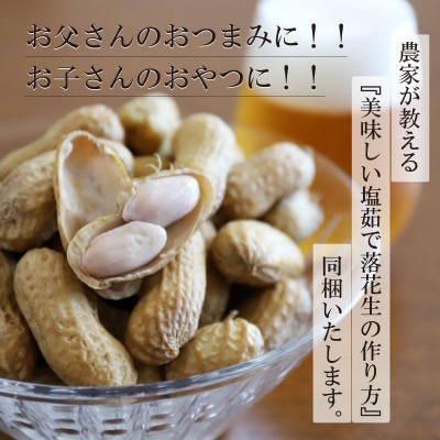 食べ応え抜群の大粒落花生「おおまさり」500g袋×8袋≪数量限定≫★7月中旬より順次発送★鹿児島県