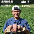さつまいもファン必見!鹿児島産『紅はるか』をいち早くお届け 訳アリ10キロ