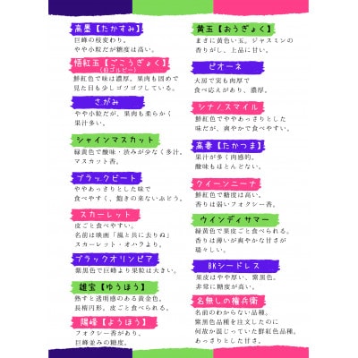 旬のブドウ味くらべ約2キロ【数量・期間限定】