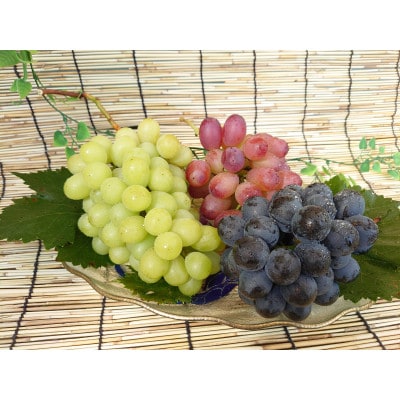 旬のブドウ味くらべ約2キロ【数量・期間限定】
