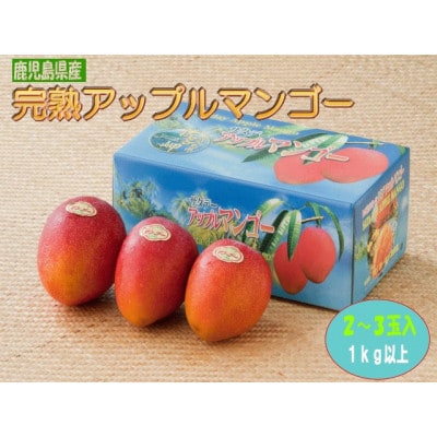 【2024年発送・先行受付】完熟アップルマンゴー約1kg