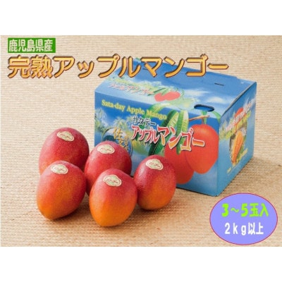 【2024年発送・先行受付】完熟アップルマンゴー約2kg