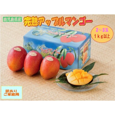 【2024年発送・先行受付】【ご家庭用】訳あり完熟マンゴー約1kg