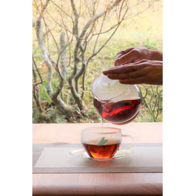 『ねじめびわ茶200包入』と食べるびわ茶『ねじめびわ茶スティックゼリー+plus30本入』セット