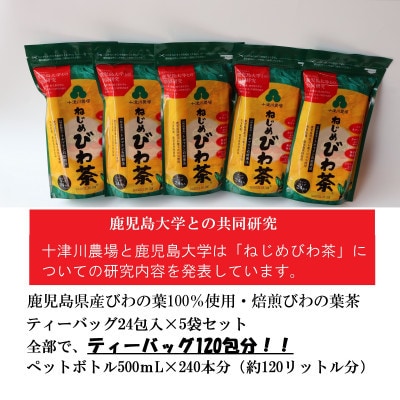 『ねじめびわ茶24』ティーバッグ【5袋】　ノンカフェイン