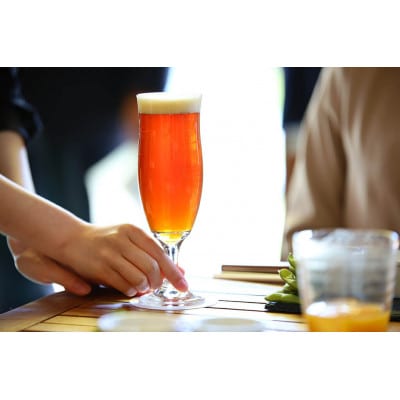 クラフトビール Sun Sun ALE【6本セット】たんかん・季節のみかん・辺塚だいだい