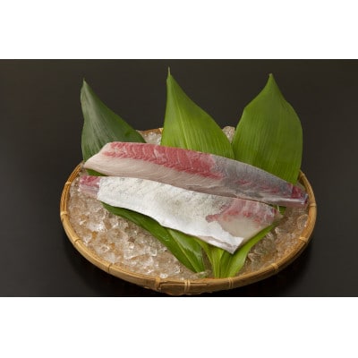 【ねじめ黄金カンパチ】ロイン 片身分 ( 約400g × 2本 )