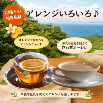 「おひとりさま・濃いびわ茶」(20包入×3袋)  計60包　タグ付きティーバッグ