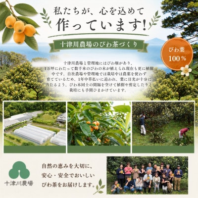 「おひとりさま・濃いびわ茶」(20包入×3袋)  計60包　タグ付きティーバッグ