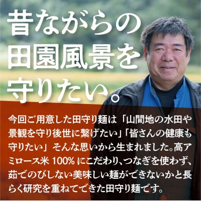 グルテンフリー米粉麺【田守り麺(丸麺)】100g入×9袋セット|無添加・米粉100%で身体に優しい