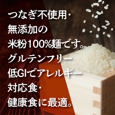 グルテンフリー米粉麺【田守り麺(丸麺)】100g入×9袋セット|無添加・米粉100%で身体に優しい