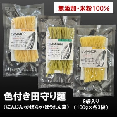グルテンフリー米粉麺　田守り麺彩りセット|無添加・米粉100%で身体に優しい