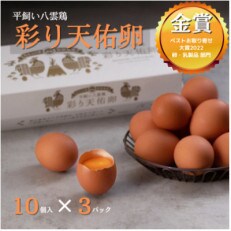 平飼い八雲鶏(やくもどり)　彩り天佑卵(てんゆうらん) 10個×3パック 計卵30個