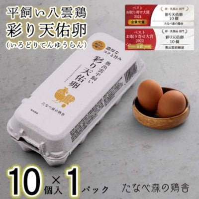 飼い八雲鶏(やくもどり)　彩り天佑卵(てんゆうらん) 10個×1パック　計10個