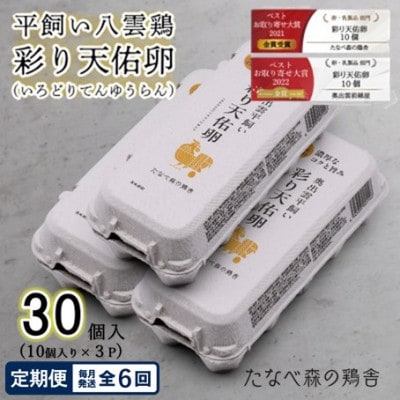 【毎月定期便】平飼い八雲鶏　彩り天佑卵(てんゆうらん) 10個入×3パック　計30個全6回