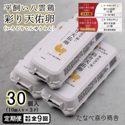 【毎月定期便】平飼い八雲鶏　彩り天佑卵(てんゆうらん) 10個入×3パック　計30個全9回