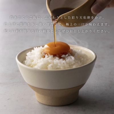 【毎月定期便】平飼い八雲鶏　彩り天佑卵(てんゆうらん) 10個入×3パック　計30個全9回