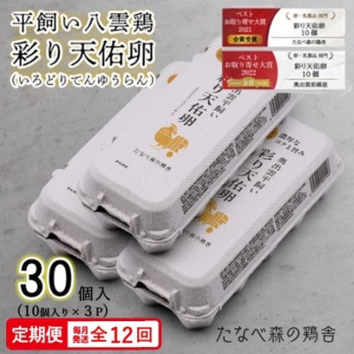 【毎月定期便】平飼い八雲鶏　彩り天佑卵(てんゆうらん) 10個入×3パック　計30個全12回
