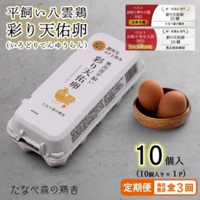 【毎月定期便】平飼い八雲鶏　彩り天佑卵(てんゆうらん) 10個入×1パック　計10個全3回