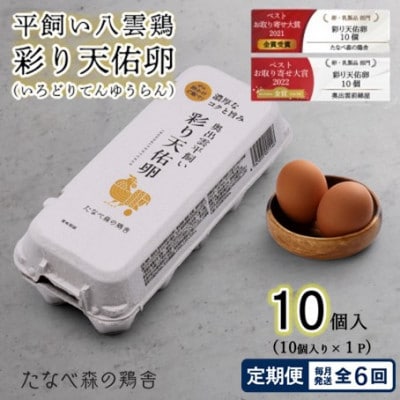 【毎月定期便】平飼い八雲鶏　彩り天佑卵(てんゆうらん) 10個入×1パック　計10個全6回