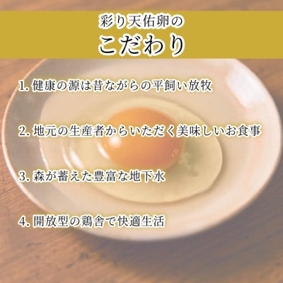 【毎月定期便】平飼い八雲鶏　彩り天佑卵(てんゆうらん) 10個入×1パック　計10個全9回