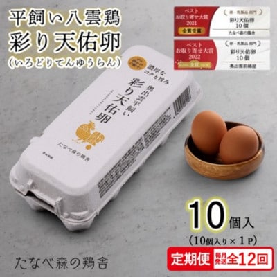 【毎月定期便】平飼い八雲鶏　彩り天佑卵(てんゆうらん) 10個入×1パック　計10個全12回